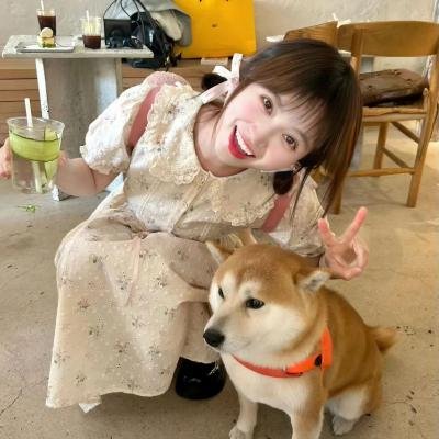 矮精灵历险记